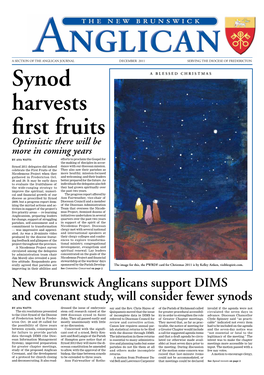 New Brunswick Anglicans Support DIMS and Covenant Study, Will Consider Fewer Synods by Ana Watts Dressed the Issue of Embryonic Say and the Rev