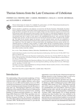 Therian Femora from the Late Cretaceous of Uzbekistan