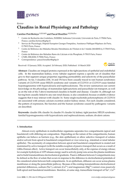 Claudins in Renal Physiology and Pathology