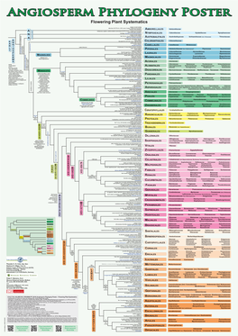 Flowering Plant Systematics