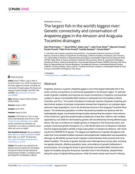 Genetic Connectivity and Conservation of Arapaima Gigas in the Amazon and Araguaia- Tocantins Drainages