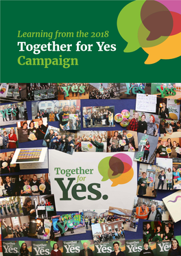 Abortion in Ireland 23 2.2 Setting up Together for Yes 27 2.3 Campaign Structure and Organisation 31