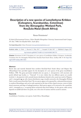 Description of a New Species of Lamellothyrea Krikken (Coleoptera, Scarabaeidae, Cetoniinae) from the Isimangaliso Wetland Park, Kwazulu-Natal (South Africa)