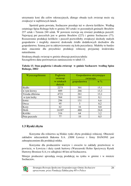 Strat. Sochaczew 2.Pdf