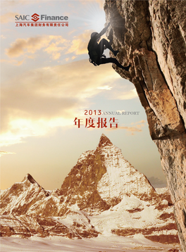 2013Annual Report 年度报告