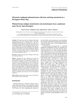 Metastatic Malignant Pilomatricoma with Bone and Lung Metastasis in a Portuguese Water Dog