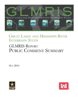 Summary of Public Input on GLMRIS Report