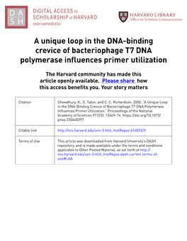 A Unique Loop in the DNA-Binding Crevice of Bacteriophage T7 DNA Polymerase Influences Primer Utilization