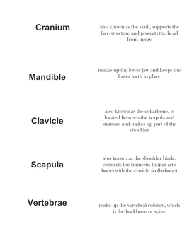 Cranium Mandible Clavicle Scapula Vertebrae