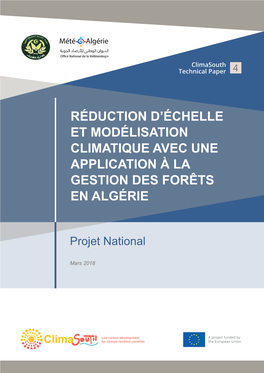 Réduction D'échelle Et Modélisation Climatique