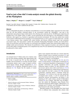 Food Or Just a Free Ride? a Meta-Analysis Reveals the Global Diversity of the Plastisphere