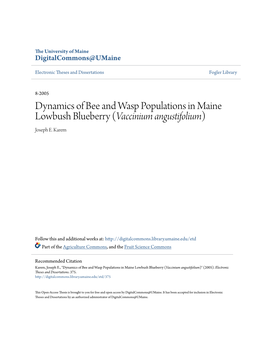Dynamics of Bee and Wasp Populations in Maine Lowbush Blueberry (Vaccinium Angustifolium) Joseph E
