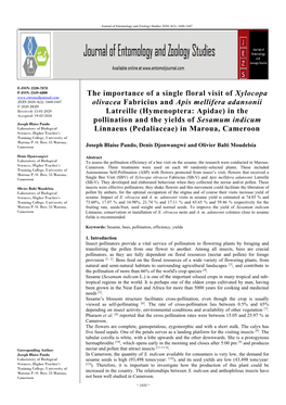 The Importance of a Single Floral Visit of Xylocopa Olivacea Fabricius And