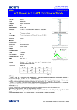 Anti Human ARHGAP4 Polyclonal Antibody 0