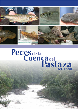 Pastaza ECUADOR Río Bobonaza, Cerca Del Poblado De Canelos Peces De La Cuenca Del Pastaza, Ecuador Peces De La Cuenca Del Pastaza, Ecuador 4 5