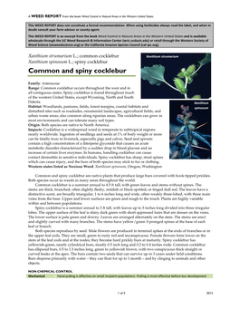 Xanthium Strumarium L.; Common Cocklebur Xanthium Strumarium Xanthium Spinosum L.; Spiny Cocklebur Common and Spiny Cocklebur