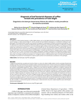 Diagnosis of Leaf Bacterial Diseases of Coffee Reveals the Prevalence of Halo Blight