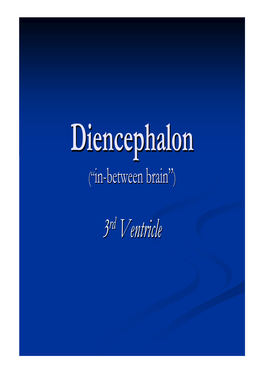 Diencephalondiencephalon ((““Inin --Betweenbetween Brainbrain ””))