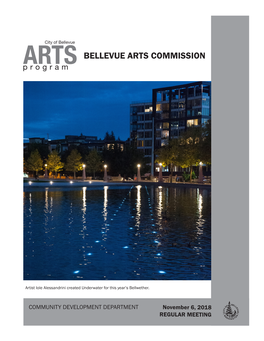 Bellevue Arts Commission