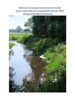 Influence of Oxygen Concentration on the Macro-Invertebrate Composition and the WFD Rating of the Kleine Dommel