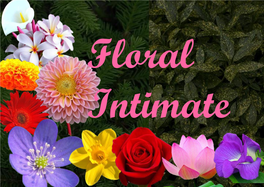 Floral Intimate Credits