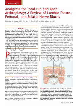 Analgesia for Total Hip and Knee Arthroplasty: a Review of Lumbar Plexus, Femoral, and Sciatic Nerve Blocks