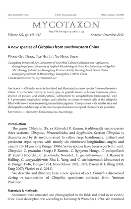 <I>Clitopilus</I> from Southwestern China