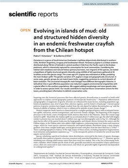 Old and Structured Hidden Diversity in an Endemic Freshwater Crayfish from the Chilean Hotspot