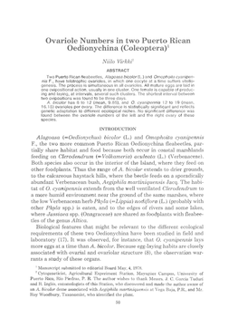 Ovariole Numbers in Two Puerto Rican Oedionychina (Coleoptera)1