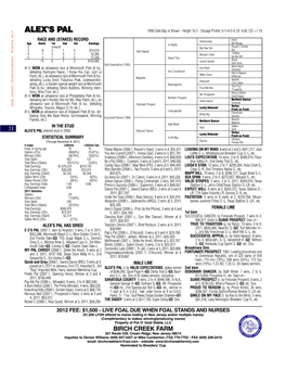 ALEX's PAL 1999 Dark Bay Or Brown - Height 16.2 - Dosage Profile: 5-1-4-0-0; DI: 4.00; CD: +1.10