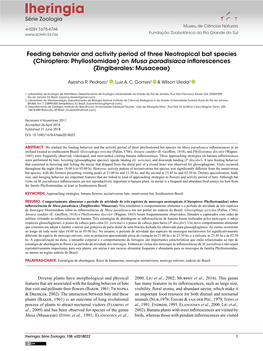 Feeding Behavior and Activity Period of Three Neotropical Bat Species (Chiroptera: Phyllostomidae) on Musa Paradisiaca Inflorescences (Zingiberales: Musaceae)