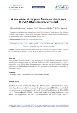 A New Species of the Genus Gonatopus Ljungh from the USA (Hymenoptera, Dryinidae)