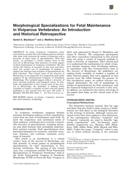 Morphological Specializations for Fetal Maintenance in Viviparous Vertebrates: an Introduction and Historical Retrospective