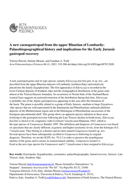 A New Caenogastropod from the Upper Rhaetian of Lombardy: Palaeobiogeographical History and Implications for the Early Jurassic Gastropod Recovery