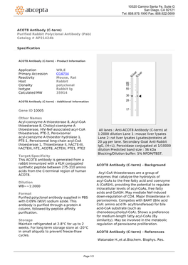 ACOT8 Antibody (C-Term) Purified Rabbit Polyclonal Antibody (Pab) Catalog # Ap21424b