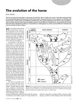 The Evolution of the Horse Mats Molén