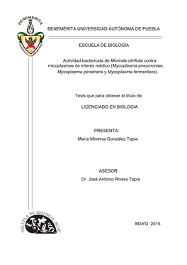 Evaluación De La Actividad Bactericida Del Jugo Fresco Y Extracto De Hojas