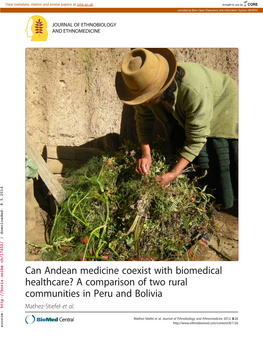 Can Andean Medicine Coexist with Biomedical Healthcare? a Comparison of Two Rural Communities in Peru and Bolivia