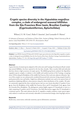 Cryptic Species Diversity in the Hypsolebias Magnificus Complex, A