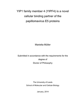 Is a Novel Cellular Binding Partner of the Papillomavirus E5 Proteins