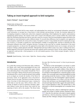 Taking an Insect-Inspired Approach to Bird Navigation