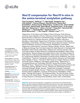 Naa12 Compensates for Naa10 in Mice in the Amino-Terminal