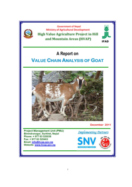 Report on Value Chain Analysis of Goat