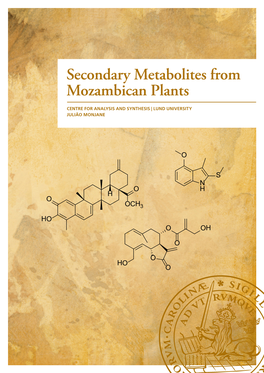 Secondary Metabolites from Mozambican Plants