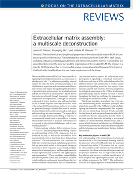 Extracellular Matrix Assembly: a Multiscale Deconstruction