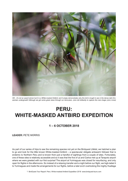 Peru: White-Masked Antbird Expedition