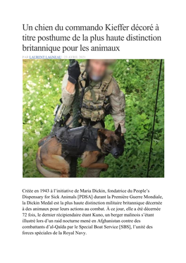 Un Chien Du Commando Kieffer Décoré À Titre Posthume De La Plus Haute Distinction Britannique Pour Les Animaux PAR LAURENT LAGNEAU · 23 AVRIL 2021