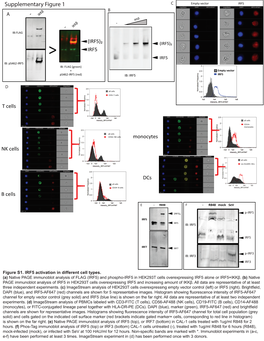 Supplemental Figures 1 (PDF)