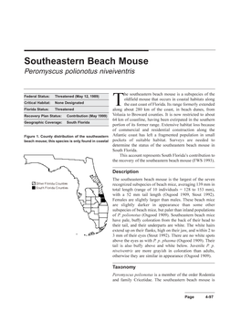 The Southeastern Beach Mouse Is a Subspecies Of