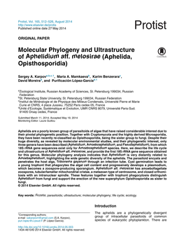 Molecular Phylogeny and Ultrastructure of Aphelidium Aff